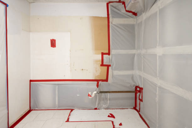 Best Mold Damage Restoration  in Jeffersonville, KY