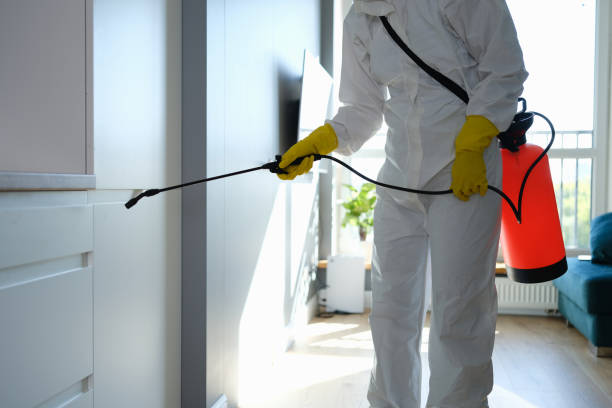 Best Dehumidification Services  in Jeffersonville, KY