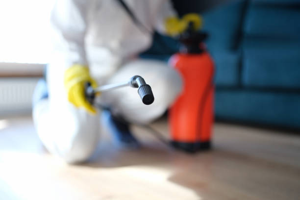 Best Mold Removal for HVAC Installations  in Jeffersonville, KY