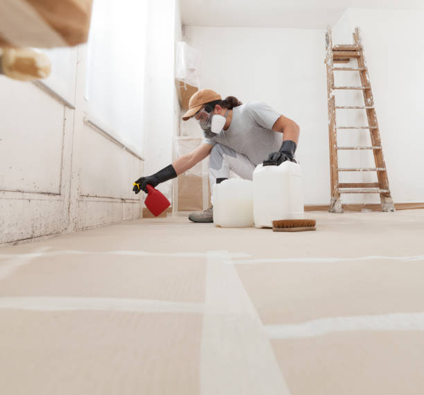 Biohazard Mold Removal in Jeffersonville, KY