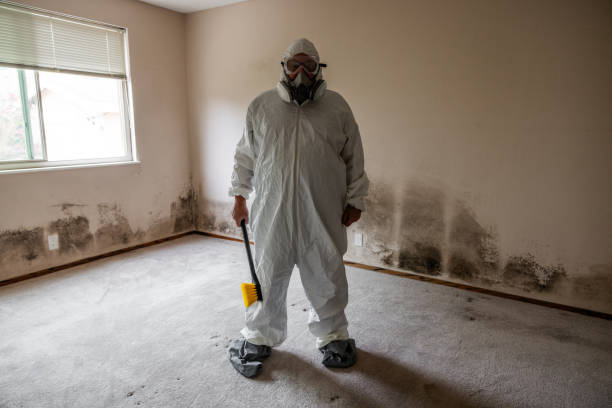 Best Asbestos and Lead Testing During Mold Inspection  in Jeffersonville, KY